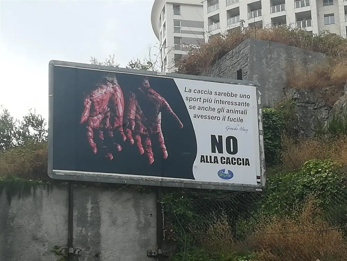 No alla caccia, la campagna choc
